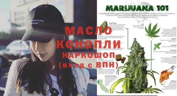 молекула духа Дмитриев