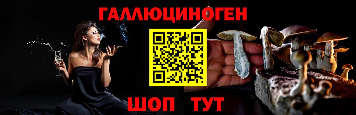 Псилоцибиновые грибы MAGIC MUSHROOMS Ефремов