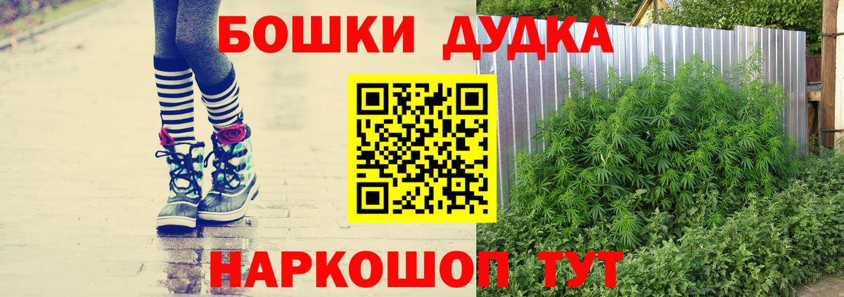 Шишки марихуана OG Kush  Марихуана планчик  Шишки марихуана план  Бошки Шишки планчик  Вход с VPN  Ефремов 